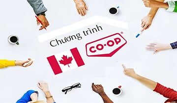 Du học Canada, học là phải có Co-Op!