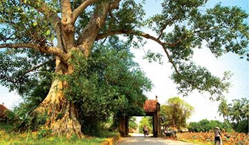 Khái niệm quê quán theo quy định của luật hộ tịch