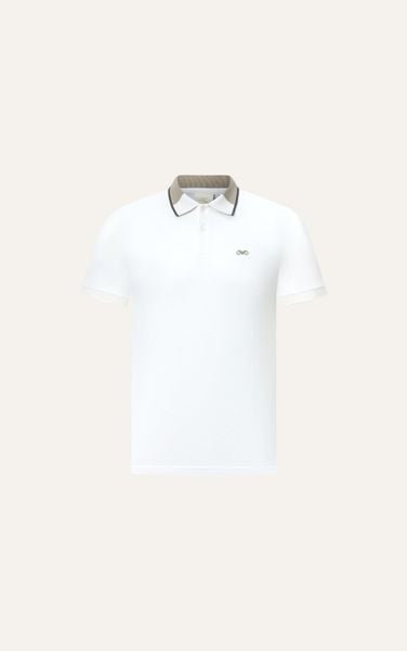  POLO NAM 8893- SLIM FIT TRẮNG GÁY KEM 