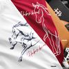 Áo Thun nam Heboz horse lunar slim - 00002995