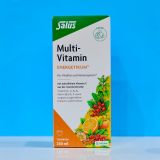  Siro bổ sung vitamin Salus Multi-Vitamin Energetikum 250ml – Hỗ trợ năng lượng hằng ngày 