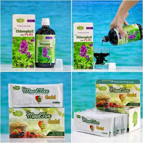  Combo sản phẩm Diệp lục và Mealtox GOLD (Hộp 7 gói) 