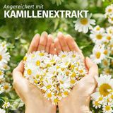  Dầu xả hoa cúc Herbal Essences tuýp 250ml 