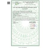  Nọc Bọ Cạp Xanh Vida Plus Cuba Giúp Nâng Cao Thể Trạng, Hỗ Trợ Giảm Đau Cho Người Bệnh Ung Bướu 30ml 