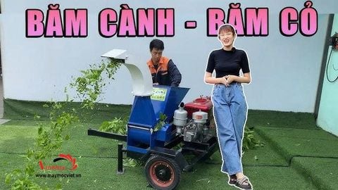 Máy băm cành Turbo TBC300