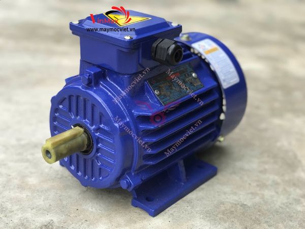 Motor 3 pha Toàn Phát 0.75 kW – 2840 vòng/phút