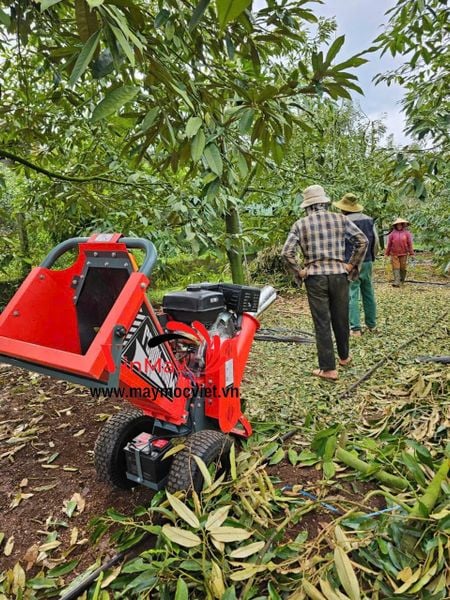 Máy băm cành cây chạy xăng 7hp đề nổ Turbo TB75