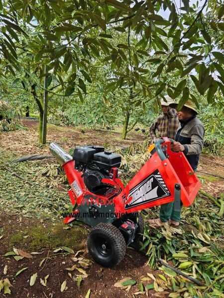 Máy băm cành cây chạy xăng 7hp đề nổ Turbo TB75