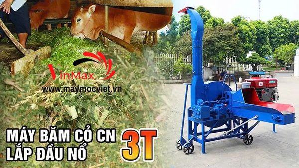 Máy băm cỏ voi công nghiệp băng tải đầu nổ D15 Turbo TBC3015