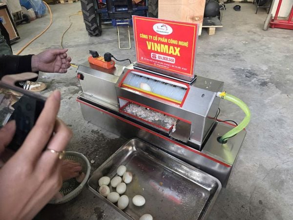 Máy bóc vỏ trứng gà mini Turbo TBG60