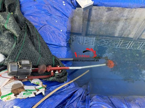 Máy Bơm Nước Cần Cứng Động Cơ 750W Turbo TBN750