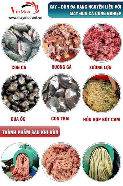 Máy Đùn Cá Công Nghiệp Lắp Đầu Nổ D15 TBDC1500