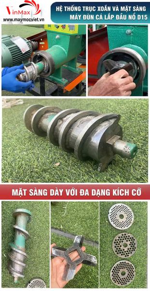 Máy Đùn Cá Công Nghiệp Lắp Đầu Nổ D15 TBDC1500