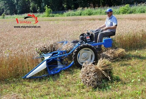 Máy thu hoạch cỏ voi, thu hoạch lúa tự bó Turbo TGT140