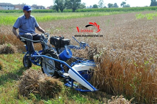 Máy thu hoạch cỏ voi, thu hoạch lúa tự bó Turbo TGT140