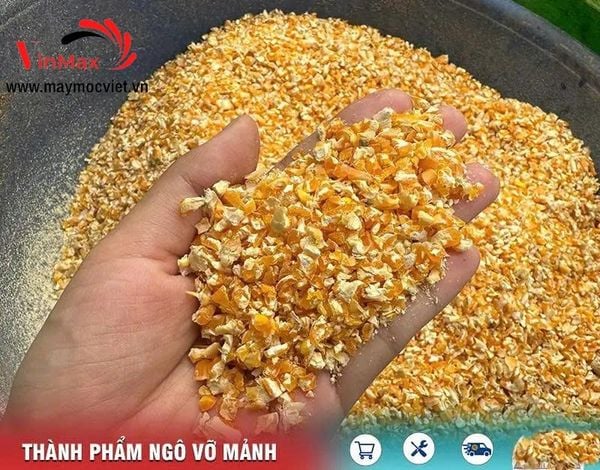 Máy Nghiền Ngô Vỡ Mảnh Có Sàng Rung 1 Pha Turbo TBN700R