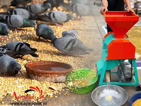 Máy Nghiền Ngô Vỡ Mảnh 1 Pha Turbo TBN700