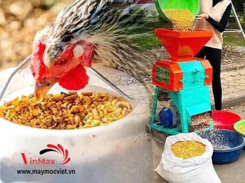 Máy Nghiền Ngô Vỡ Mảnh 1 Pha Turbo TBN700