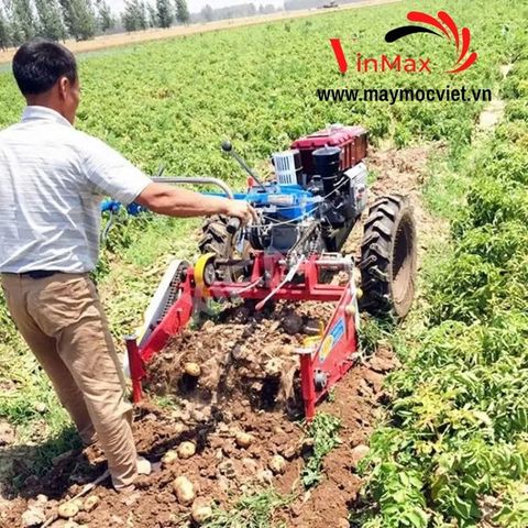 Máy Thu Hoạch Khoai Tây Gắn Máy Cày Dắt Tay D15 Turbo TBK1560