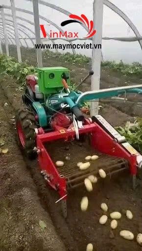 Máy Thu Hoạch Khoai Tây Gắn Máy Cày Dắt Tay D15 Turbo TBK1560