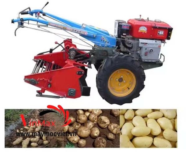 Máy Thu Hoạch Khoai Tây Gắn Máy Cày Dắt Tay D15 Turbo TBK1560