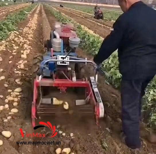 Máy Thu Hoạch Khoai Tây Gắn Máy Cày Dắt Tay D15 Turbo TBK1560