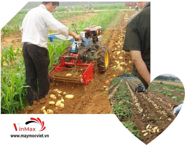 Máy Thu Hoạch Khoai Tây Gắn Máy Cày Dắt Tay D15 Turbo TBK1560
