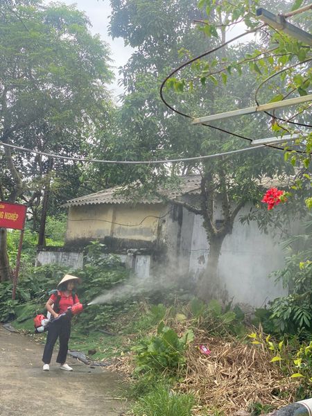 Máy Phun Thuốc Kết Hợp Thổi Lá 2 Thì Turbo WG66