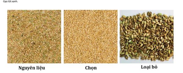 Máy tách màu gạo TAKYO TK – M80