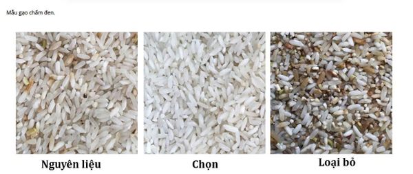 Máy tách màu gạo TAKYO TK – M80