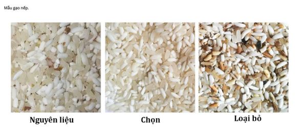 Máy tách màu gạo TAKYO TK – M80