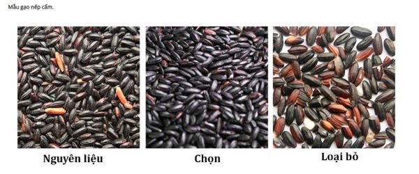 Máy tách màu gạo TAKYO TK – M80