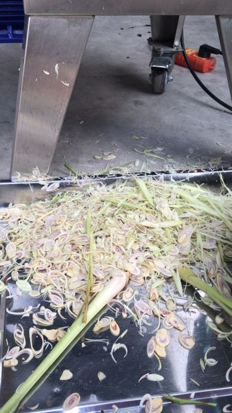 Máy thái sả, hành, tỏi, ớt công nghiệp Turbo TBS600