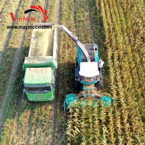 Máy thu hoạch ngô sinh khối Turbo 4QZ-350
