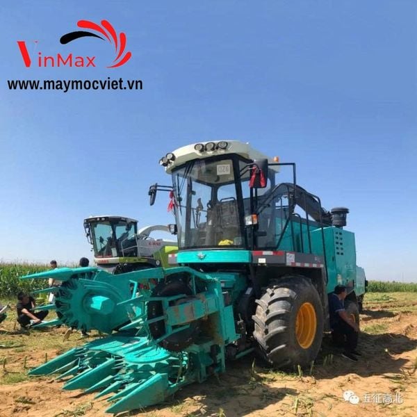 Máy thu hoạch ngô sinh khối Turbo 4QZ-350