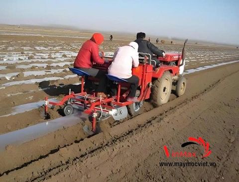 Máy Trồng Khoai Tây, Đào Rãnh, Gieo Hạt, Bón Phân, Che Phủ 2 Hàng Turbo TBK2