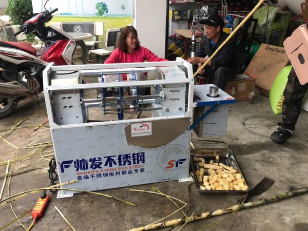 Máy tước vỏ mía và cắt khúc mía Turbo TBTC2000