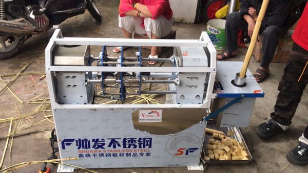 Máy tước vỏ mía và cắt khúc mía Turbo TBTC2000