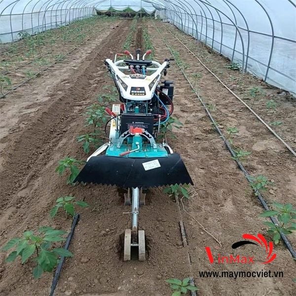 Máy Xới Đất, Tạo Rãnh Vun Luống Turbo TBT186F