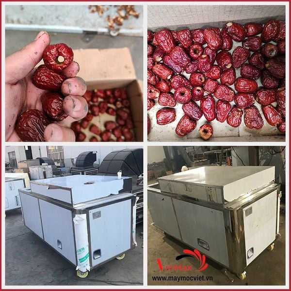 Máy tách hạt táo đỏ, chà là 3 pha năng suất 300kg/giờ Turbo TTH300