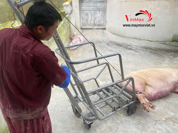 Xe kéo lợn có dây cáp thép trợ lực, chuyên dụng cho heo nái Turbo TBK500