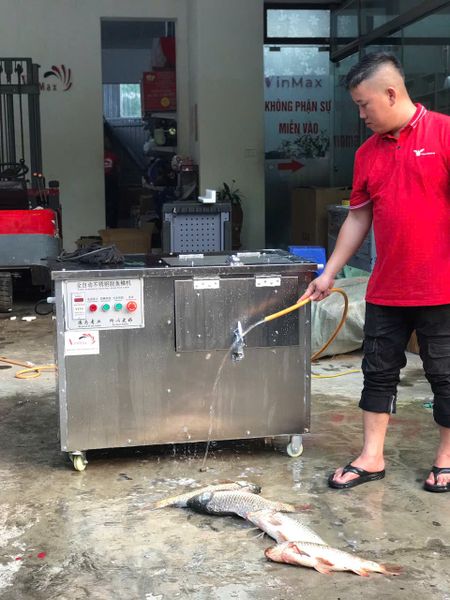 Máy Đánh Vảy Cá Siêu Sạch Turbo VM500