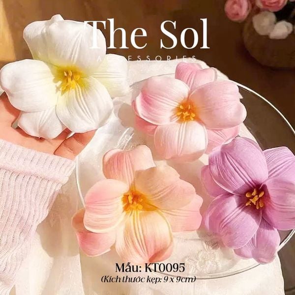  Kẹp Tóc Hàn Quốc The Tullip 