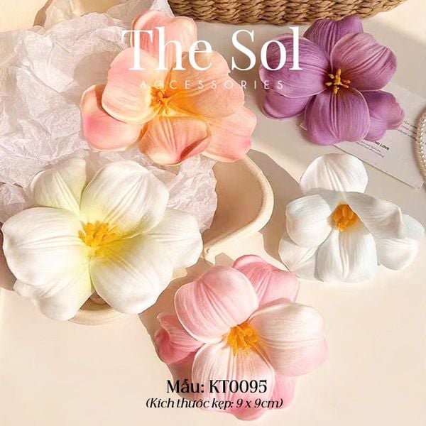  Kẹp Tóc Hàn Quốc The Tullip 