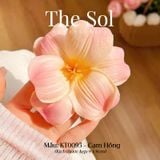  Kẹp Tóc Hàn Quốc The Tullip 