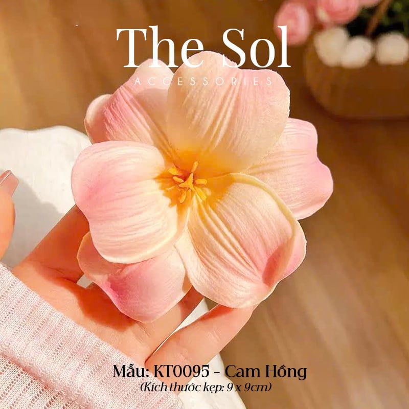  Kẹp Tóc Hàn Quốc The Tullip 