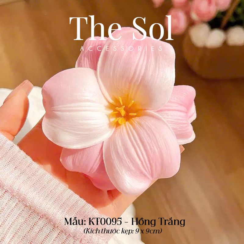  Kẹp Tóc Hàn Quốc The Tullip 