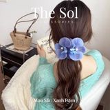  Kẹp Mỏ Vịt Hàn Quốc Hoa Phong Lan 