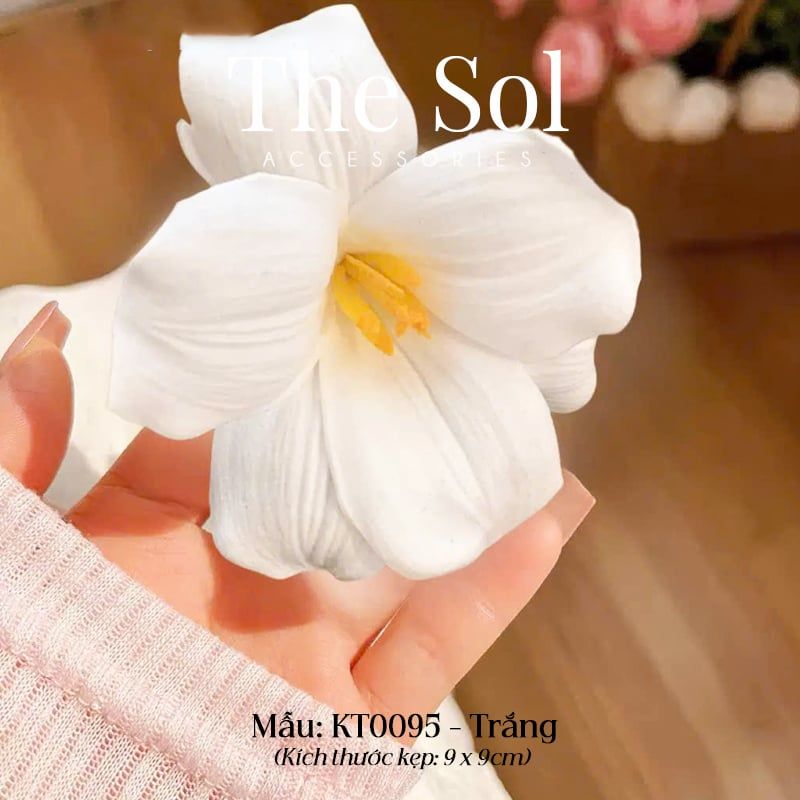  Kẹp Tóc Hàn Quốc The Tullip 