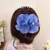  Kẹp Mỏ Vịt Hàn Quốc Hoa Phong Lan 